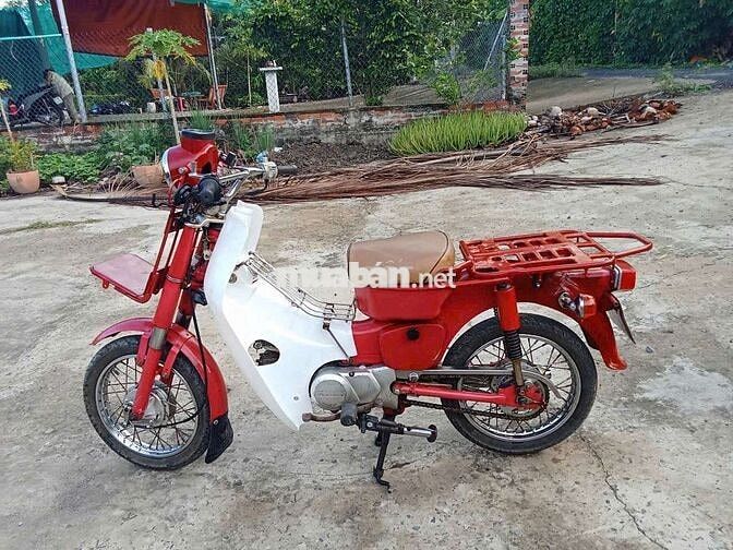MD bao chất
