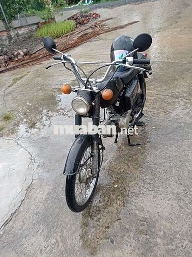 CD 50 quá chất