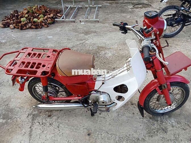 MD bao chất