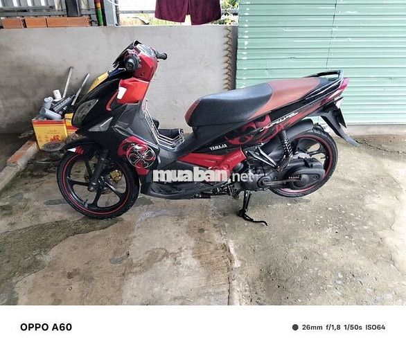 novo 4 bs 65 9chu giao cccd chũ