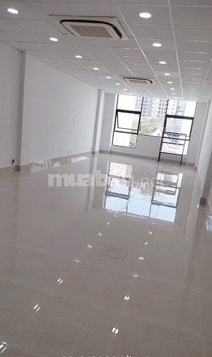 Cho thuê MT 7 lầu có hầm để xe, thang máy