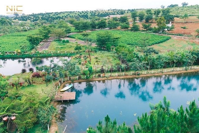 Đất Thổ Cư trong Khu Nghỉ Dưỡng Homestay Đồi Chè Tâm Châu.
