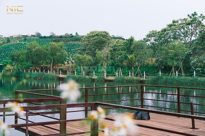 Đất Thổ Cư trong Khu Nghỉ Dưỡng Homestay Đồi Chè Tâm Châu.