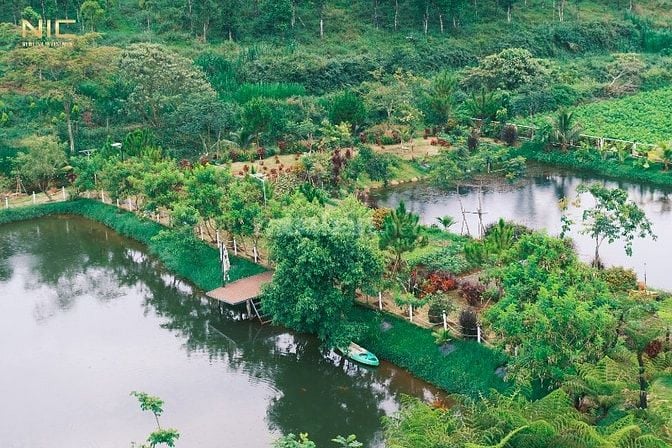 Đất Thổ Cư trong Khu Nghỉ Dưỡng Homestay Đồi Chè Tâm Châu.