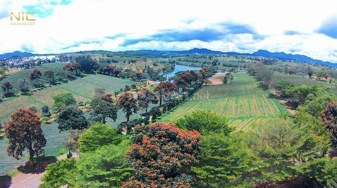 Đất Thổ Cư trong Khu Nghỉ Dưỡng Homestay Đồi Chè Tâm Châu.