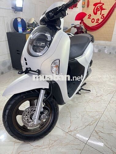 ✨ HONDA SCOOPY TRẮNG XE HẢI QUAN MỚI 100%