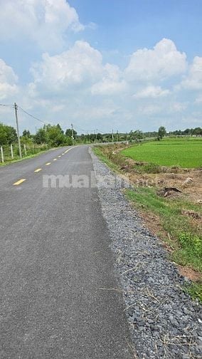 Bán gấp 1 mẫu ngay ngã tư Nhuận Đức, Củ Chi,