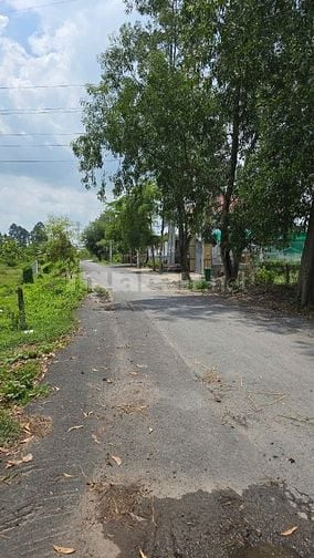Bán gấp 1 mẫu ngay ngã tư Nhuận Đức, Củ Chi,