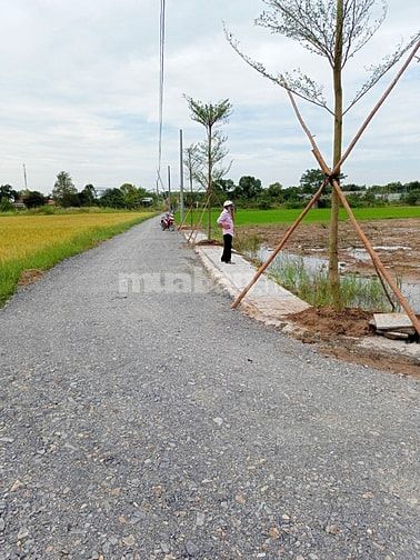 Tôi chính chủ cần bán lô đất 150m2 giá 750Triệu/Thổ Cư 100%/Sổ Riêng