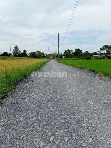 Tôi chính chủ cần bán lô đất 150m2 giá 750Triệu/Thổ Cư 100%/Sổ Riêng