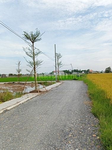 Tôi chính chủ cần bán lô đất 150m2 giá 750Triệu/Thổ Cư 100%/Sổ Riêng