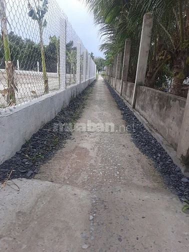 Đất giáp ranh Long An, full thổ cư, khu dân cư hiện hữu