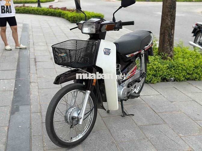 dream thái máy zin biển tươi cho anh em
