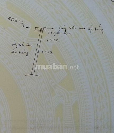 Bán ĐẤT CAO SU 4.3 ha (3TY5/ha TL thiện chí) cạnh kênh Tây, KCN Chà Là