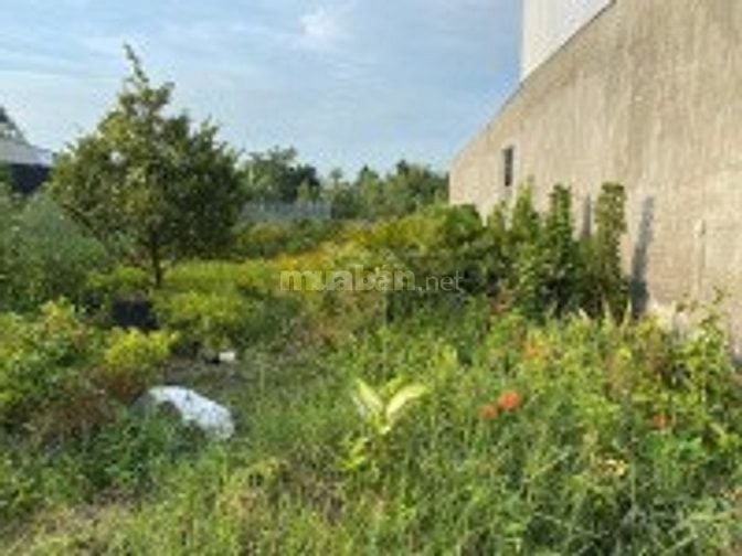 Bán đất mặt tiền đường Tỉnh ĐT 852 tại Tân Quy Tây, Sa Đéc, ĐT