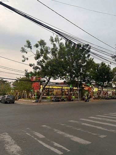 CHO THUÊ GẦN 2000 m ĐẤT, 2 MẶT TIỀN NGUYỂN VĂN HƯỞNG GIÁ 250 TRIỆU.TL 