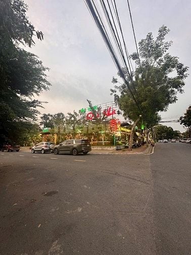 CHO THUÊ GẦN 2000 m ĐẤT, 2 MẶT TIỀN NGUYỂN VĂN HƯỞNG GIÁ 250 TRIỆU.TL 