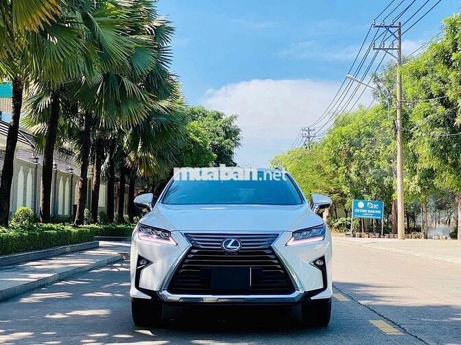 Lexus RX350L 2019 07 chổ - 44000 km