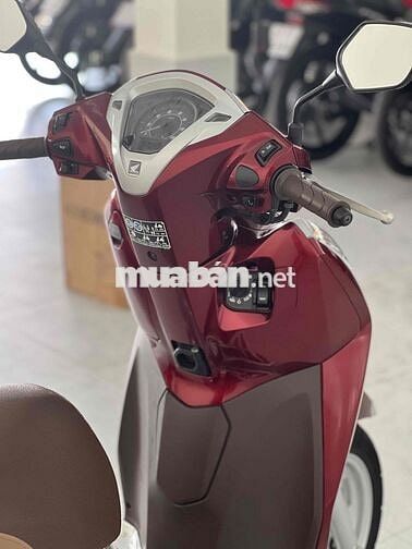 lead 4val bs 61 ký giấy