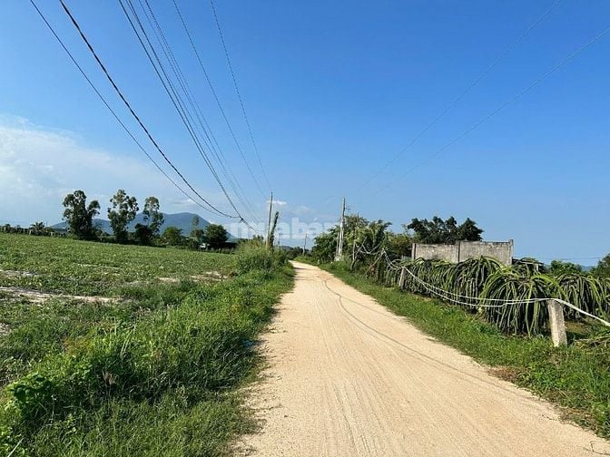 Bán Nhanh Lô Đất 1000m2 Giá Chỉ 1 Tỷ – Cơ Hội Đầu Tư Không Thể Bỏ Lỡ!