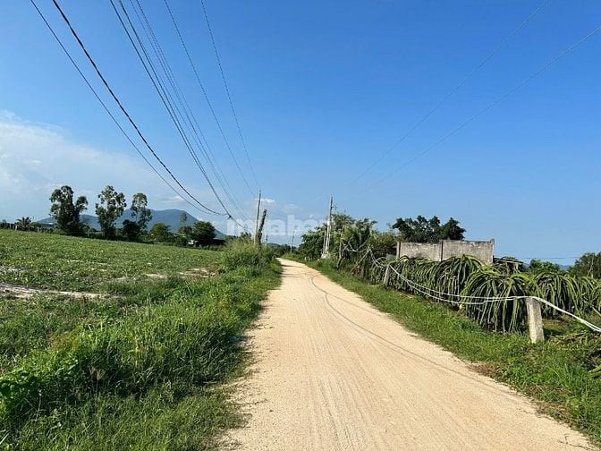 Bán Nhanh Lô Đất 1000m2 Giá Chỉ 1 Tỷ – Cơ Hội Đầu Tư Không Thể Bỏ Lỡ!
