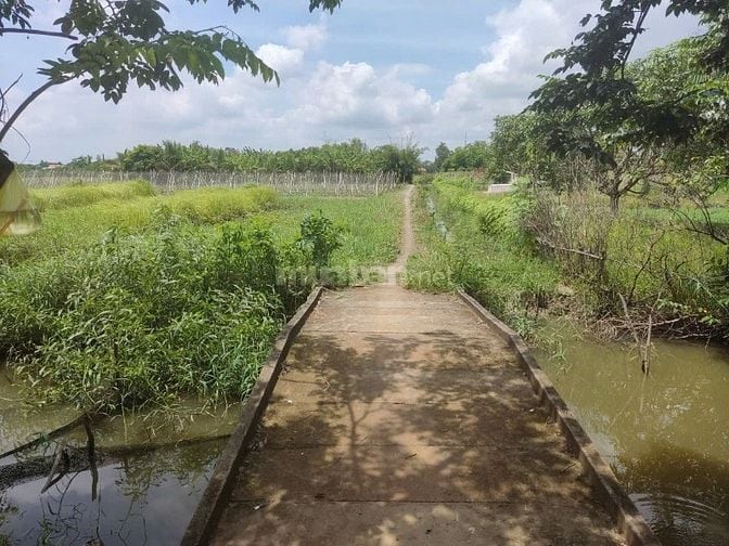 CƠ HỘI SỞ HỮU ĐẤT VƯỜN SIÊU ĐẸP TẠI HƯNG LONG, BÌNH CHÁNH – DIỆN TÍCH 