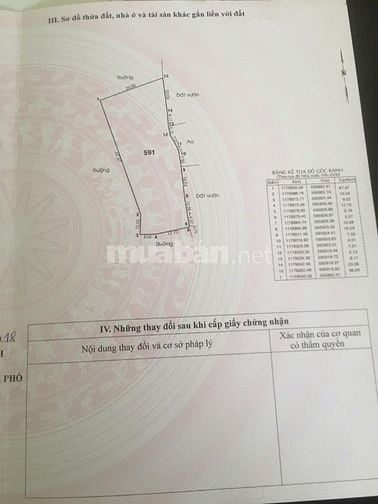 CƠ HỘI SỞ HỮU ĐẤT VƯỜN SIÊU ĐẸP TẠI HƯNG LONG, BÌNH CHÁNH – DIỆN TÍCH 