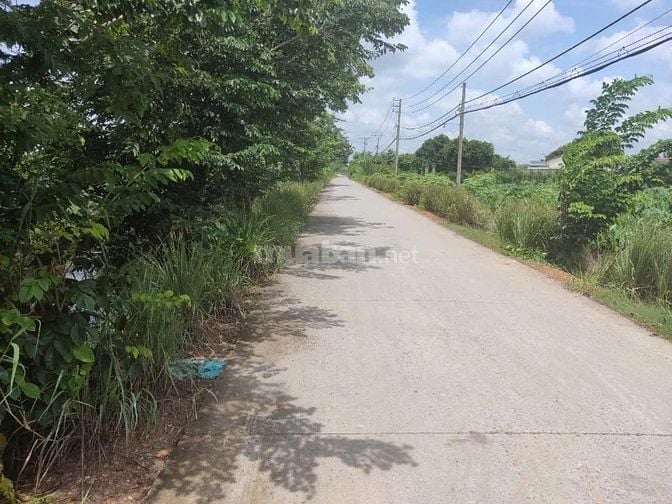 CƠ HỘI SỞ HỮU ĐẤT VƯỜN SIÊU ĐẸP TẠI HƯNG LONG, BÌNH CHÁNH – DIỆN TÍCH 