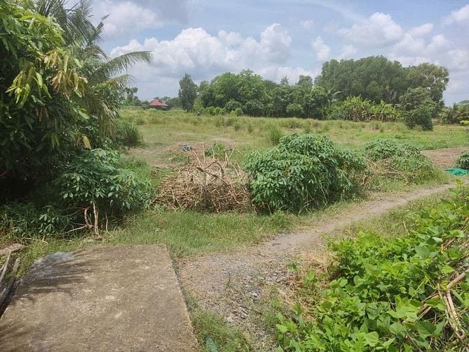 CƠ HỘI SỞ HỮU ĐẤT VƯỜN SIÊU ĐẸP TẠI HƯNG LONG, BÌNH CHÁNH – DIỆN TÍCH 