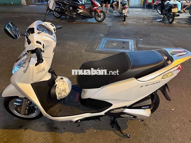 lead 4val màu trắng bản tiêu chuẩn 2024/3