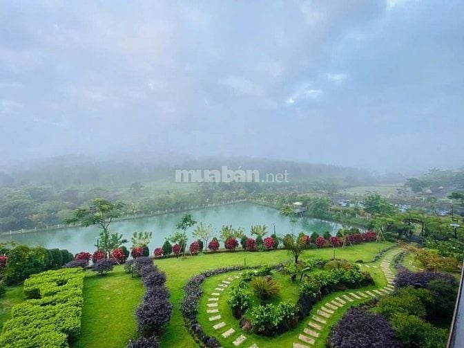 Đất Thổ Cư trong Khu Nghỉ Dưỡng Homestay Đồi Chè Tâm Châu.