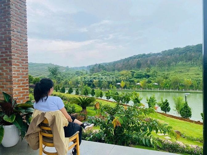 Đất Thổ Cư trong Khu Nghỉ Dưỡng Homestay Đồi Chè Tâm Châu.
