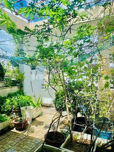 Bán nhà 62/ Trương Công Định, Hẻm 7C, 80m2 vuông, 4T BTCT chỉ 11,59 tỷ