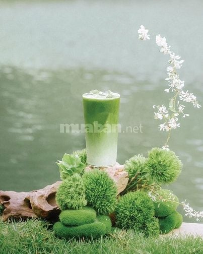 Cần người bạn bán hàng tại chỗ