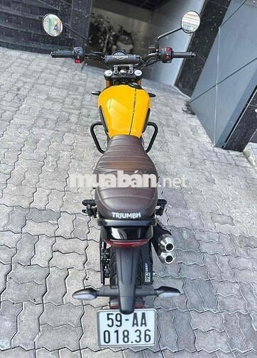 triumph scramber 400