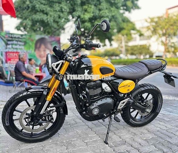 triumph scramber 400
