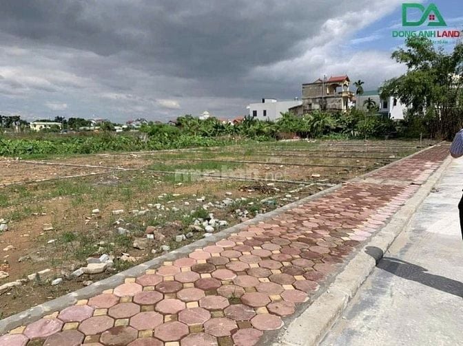 👉 Chính Chủ Gửi Bán Đất Đấu Giá X6 Tiên Kha Tiên Dương ĐôngAnh.