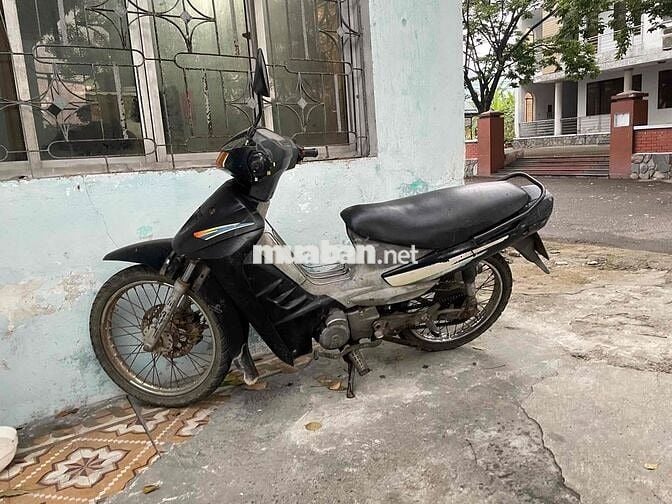 viva nhập thái biển 43 9 nút