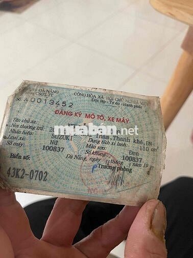 viva nhập thái biển 43 9 nút