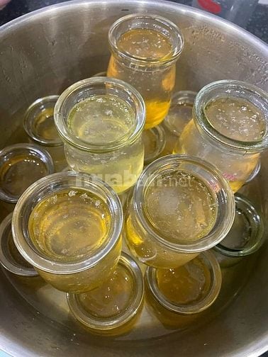 Yến Sào Khánh Hoà - Nhà Yến Vĩnh Ngọc.