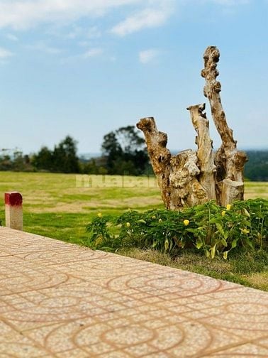 Cần Bán Lô Đất Vị Trí Đẹp  Tân Lạc, Bảo Lâm, Lâm Đồng