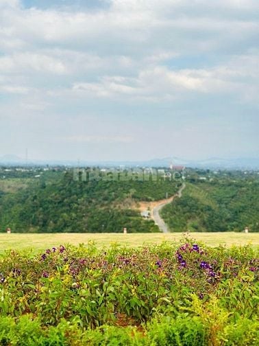 Cần Bán Lô Đất Vị Trí Đẹp  Tân Lạc, Bảo Lâm, Lâm Đồng