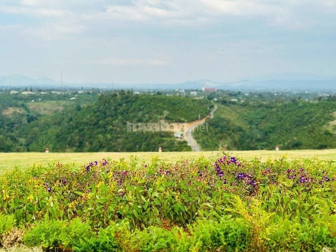 Cần Bán Lô Đất Vị Trí Đẹp  Tân Lạc, Bảo Lâm, Lâm Đồng