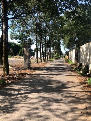 Bán đất nở hậu 119,6m² thổ cư 100% Giá chỉ 1,25 tỷ, sổ riêng