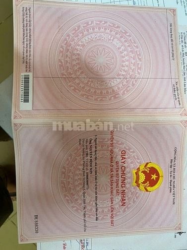 cần bán nhanh lô đất tại Xã Lộc Phú, Bảo Lâm Lâm Đồng
