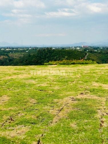 cần bán nhanh lô đất tại Xã Lộc Phú, Bảo Lâm Lâm Đồng