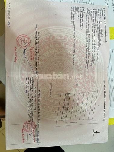 cần bán nhanh lô đất tại Xã Lộc Phú, Bảo Lâm Lâm Đồng