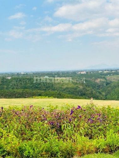 cần bán nhanh lô đất tại Xã Lộc Phú, Bảo Lâm Lâm Đồng