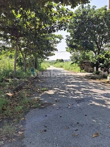 Bán đất mặt tiền D4 phường Phú Hữu Quận 9 giá 29,1 tỷ