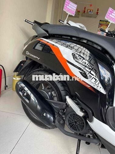 scoopy 2020 . hàng bỏ mẫu. zin cọp. hàng hiếm